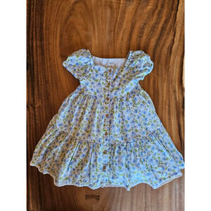 Girls Joie White Blue Green Floral Puff Sleeve, Lace, Button Down Dress Size 6